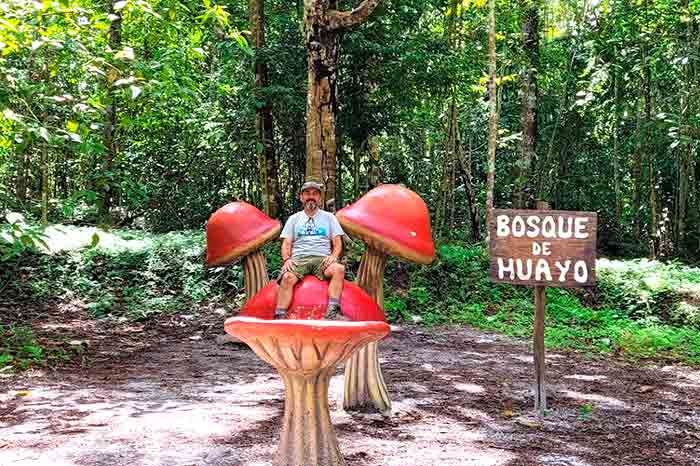 Tourist sitting on mushroom