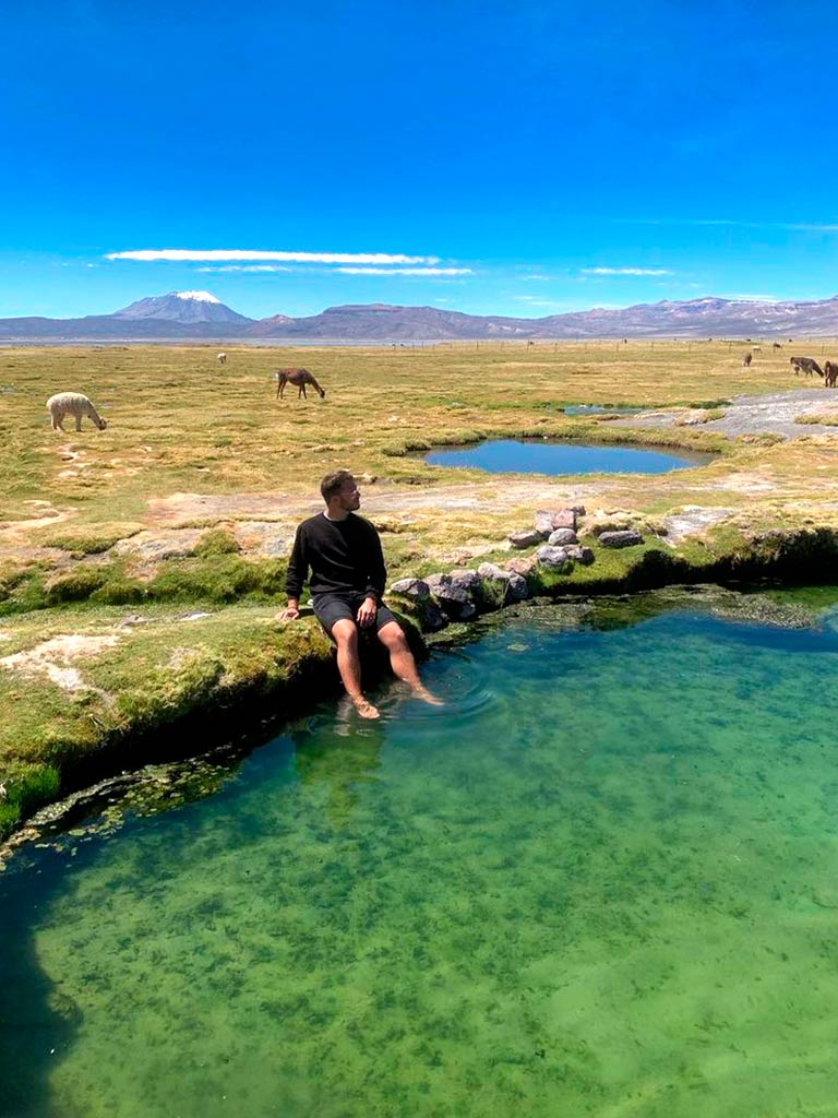 Tour Laguna De Salinas Arequipa Medio D A