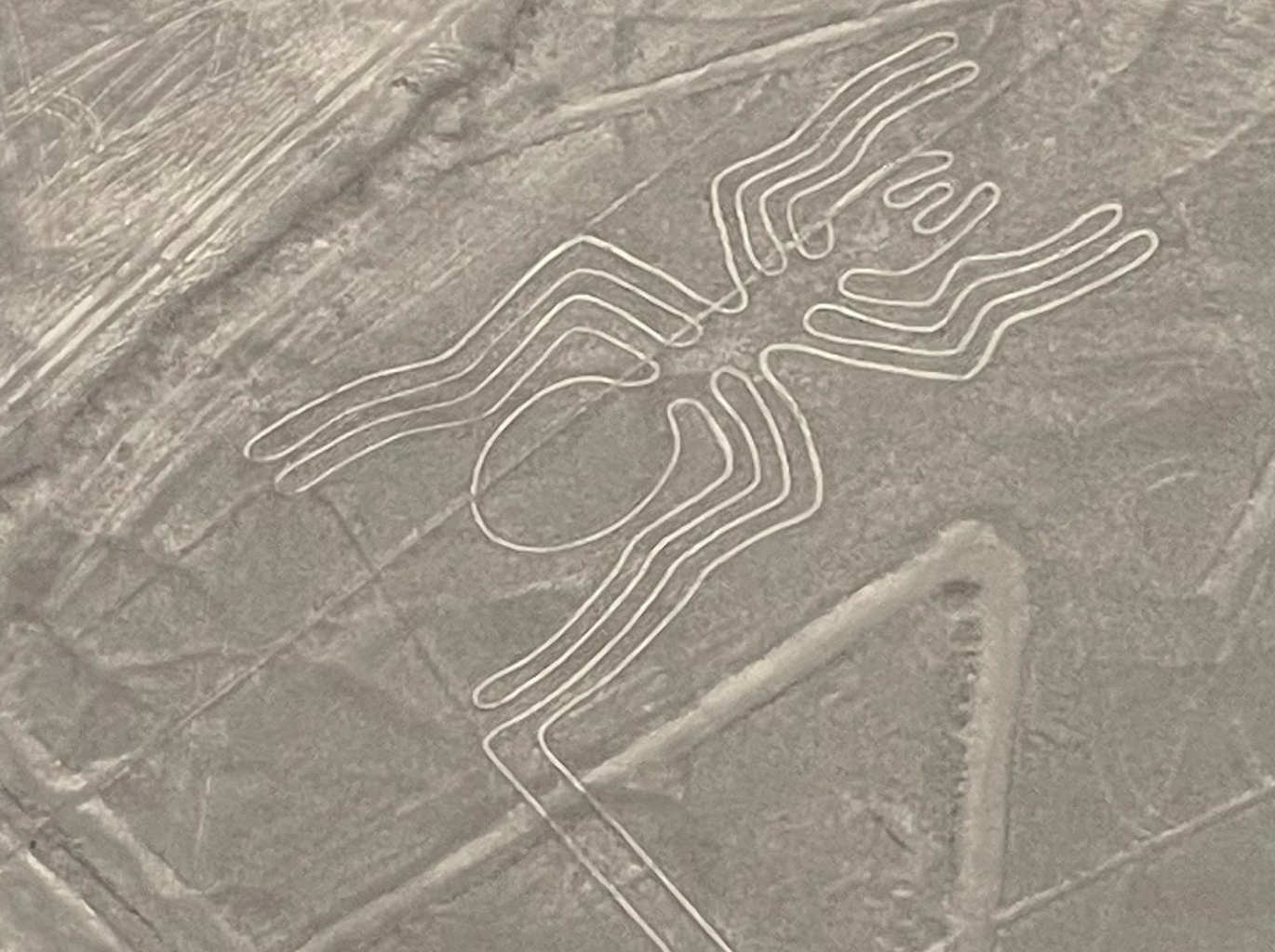 nazca lines tour from paracas