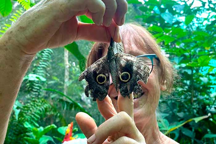 Biodiversidad Amazonica