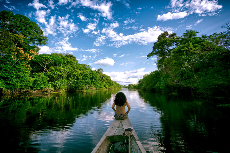 The Amazon River