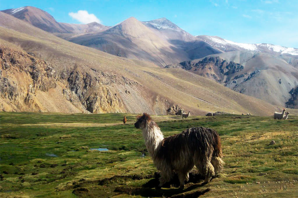 Paisagens Naturais no Peru